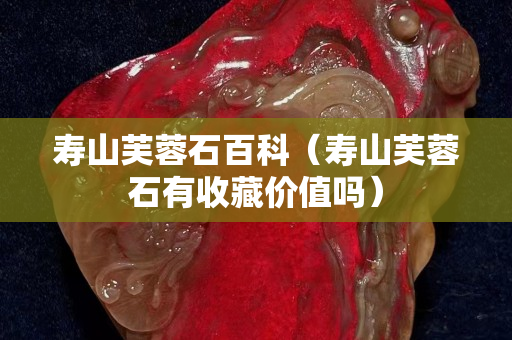 壽山芙蓉石百科（壽山芙蓉石有收藏價值嗎）