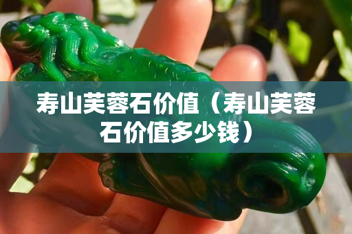 壽山芙蓉石價(jià)值（壽山芙蓉石價(jià)值多少錢）