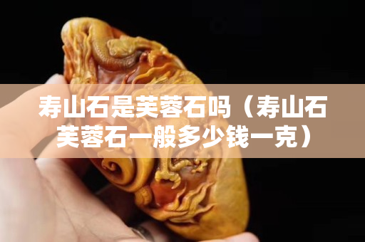 壽山石是芙蓉石嗎（壽山石芙蓉石一般多少錢一克）