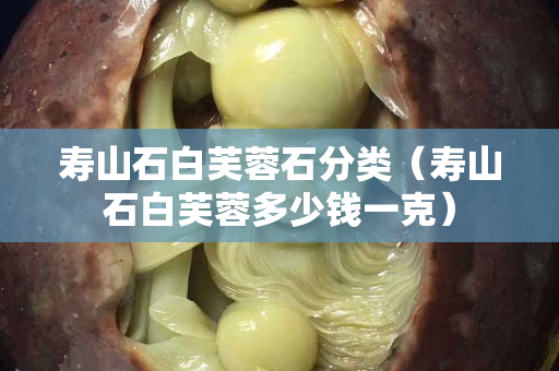 壽山石白芙蓉石分類（壽山石白芙蓉多少錢一克）