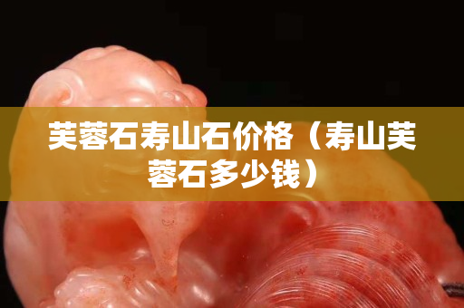 芙蓉石壽山石價格（壽山芙蓉石多少錢）
