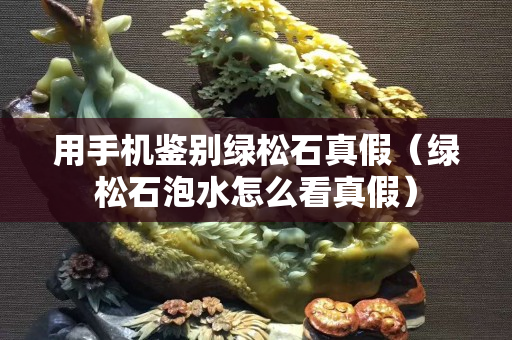 用手機鑒別綠松石真假（綠松石泡水怎么看真假）