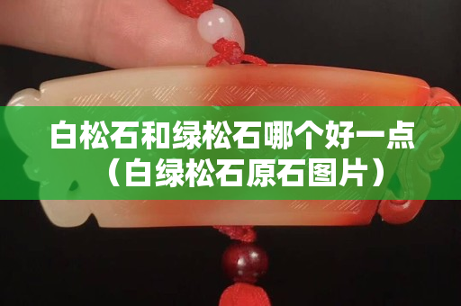 白松石和綠松石哪個好一點（白綠松石原石圖片）