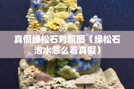 真假綠松石對照圖（綠松石泡水怎么看真假）
