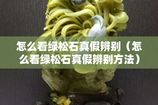 怎么看綠松石真假辨別（怎么看綠松石真假辨別方法）