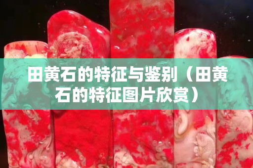 田黃石的特征與鑒別（田黃石的特征圖片欣賞）