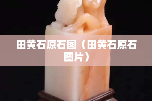 田黃石原石圖（田黃石原石圖片）