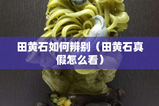 田黃石如何辨別（田黃石真假怎么看）
