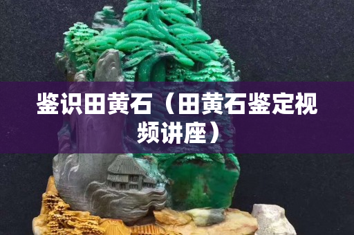 鑒識田黃石（田黃石鑒定視頻講座）