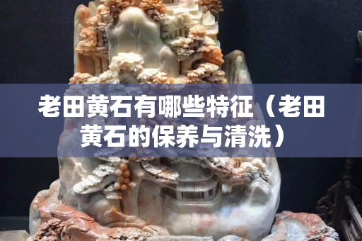 老田黃石有哪些特征（老田黃石的保養與清洗）