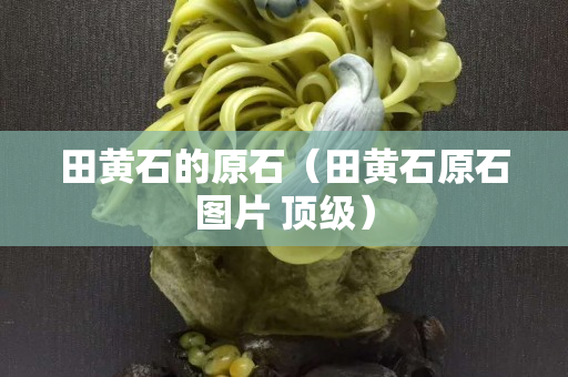 田黃石的原石（田黃石原石圖片 頂級）