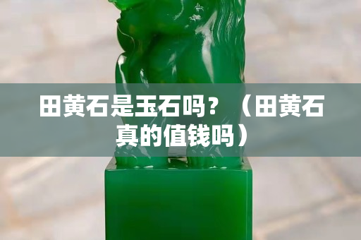 田黃石是玉石嗎？（田黃石真的值錢嗎）