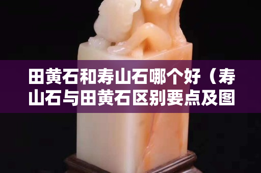 田黃石和壽山石哪個(gè)好（壽山石與田黃石區(qū)別要點(diǎn)及圖片）