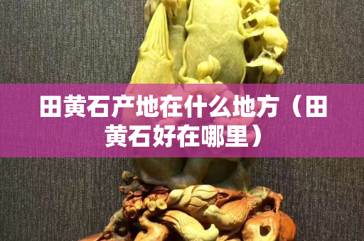 田黃石產(chǎn)地在什么地方（田黃石好在哪里）