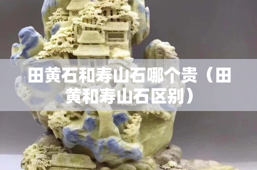田黃石和壽山石哪個(gè)貴（田黃和壽山石區(qū)別）
