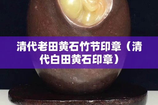清代老田黃石竹節印章（清代白田黃石印章）
