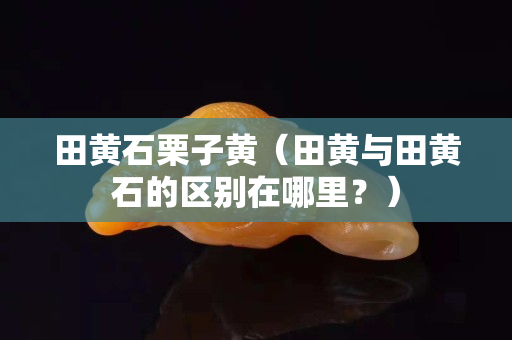 田黃石栗子黃（田黃與田黃石的區別在哪里？）