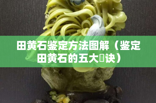 田黃石鑒定方法圖解（鑒定田黃石的五大祕訣）