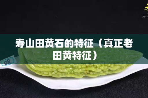 壽山田黃石的特征（真正老田黃特征）