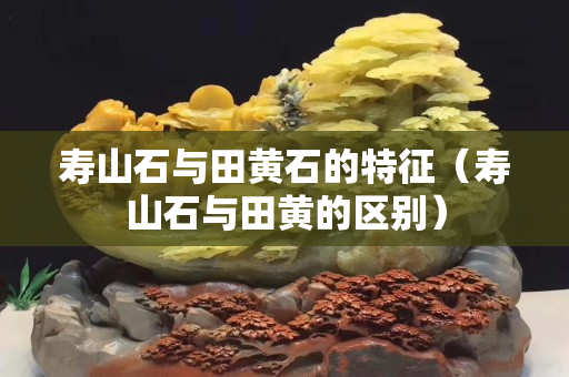 壽山石與田黃石的特征（壽山石與田黃的區別）