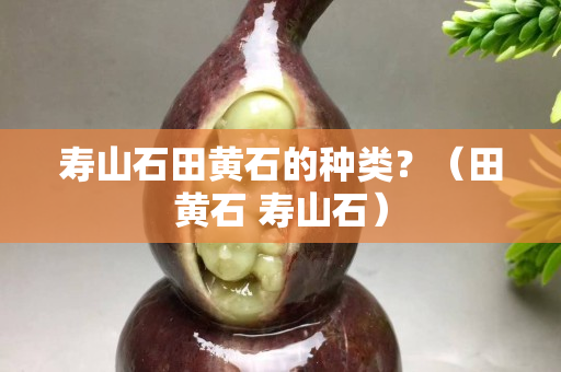 壽山石田黃石的種類？（田黃石 壽山石）