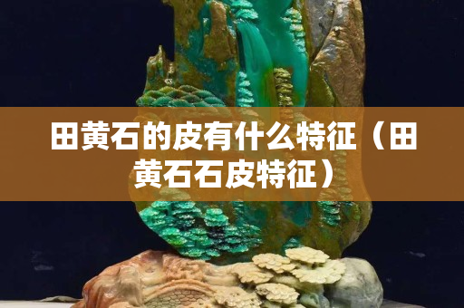 田黃石的皮有什么特征（田黃石石皮特征）