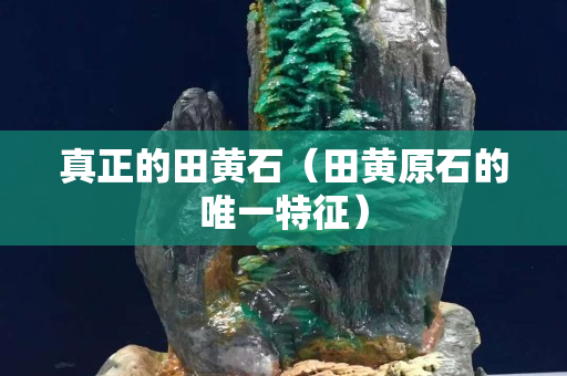 真正的田黃石（田黃原石的唯一特征）