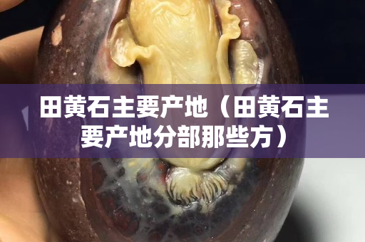 田黃石主要產(chǎn)地（田黃石主要產(chǎn)地分部那些方）