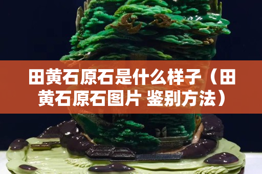 田黃石原石是什么樣子（田黃石原石圖片 鑒別方法）