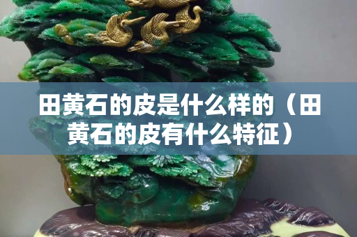 田黃石的皮是什么樣的（田黃石的皮有什么特征）