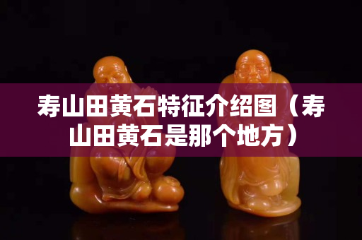 壽山田黃石特征介紹圖（壽山田黃石是那個(gè)地方）