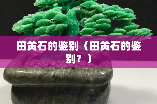 田黃石的鑒別（田黃石的鑒別？）