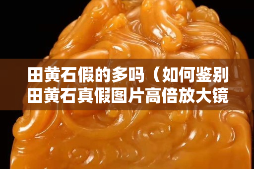 田黃石假的多嗎（如何鑒別田黃石真假圖片高倍放大鏡下）