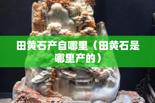 田黃石產(chǎn)自哪里（田黃石是哪里產(chǎn)的）