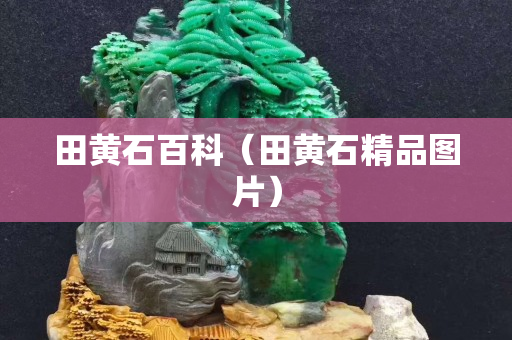 田黃石百科（田黃石精品圖片）