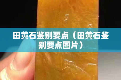 田黃石鑒別要點（田黃石鑒別要點圖片）
