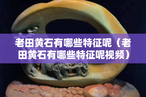 老田黃石有哪些特征呢（老田黃石有哪些特征呢視頻）