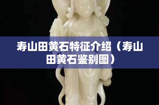 壽山田黃石特征介紹（壽山田黃石鑒別圖）