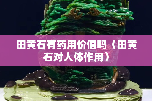 田黃石有藥用價值嗎（田黃石對人體作用）