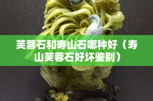芙蓉石和壽山石哪種好（壽山芙蓉石好壞鑒別）