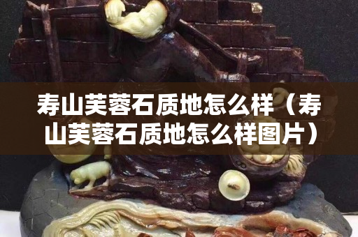 壽山芙蓉石質(zhì)地怎么樣（壽山芙蓉石質(zhì)地怎么樣圖片）