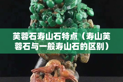芙蓉石壽山石特點(diǎn)（壽山芙蓉石與一般壽山石的區(qū)別）