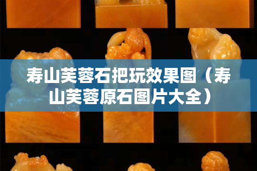 壽山芙蓉石把玩效果圖（壽山芙蓉原石圖片大全）