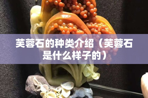 芙蓉石的種類介紹（芙蓉石是什么樣子的）