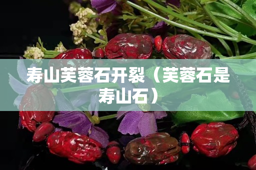 壽山芙蓉石開裂（芙蓉石是壽山石）