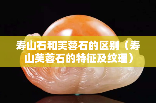 壽山石和芙蓉石的區別（壽山芙蓉石的特征及紋理）
