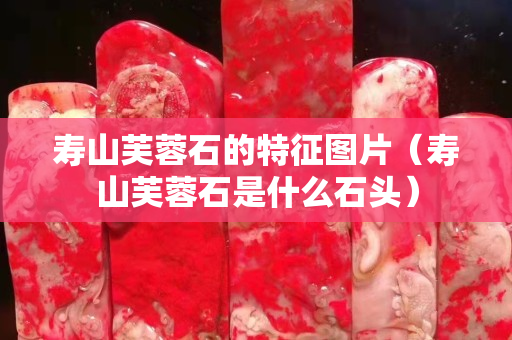壽山芙蓉石的特征圖片（壽山芙蓉石是什么石頭）