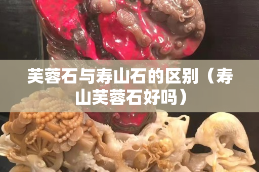 芙蓉石與壽山石的區別（壽山芙蓉石好嗎）