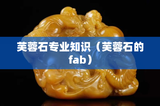 芙蓉石專業知識（芙蓉石的fab）