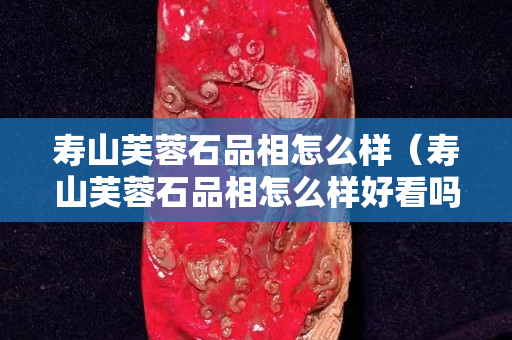 壽山芙蓉石品相怎么樣（壽山芙蓉石品相怎么樣好看嗎）